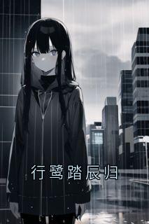 抖音爆款行鹭踏辰归小说免费阅读