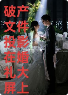 陈默苏晚晴主角小说破产文件投影在婚礼大屏上抖音文免费阅读全文