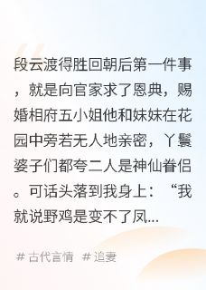念君迟迟归小说-念君迟迟归抖音小说段云渡江念仪江禾霜