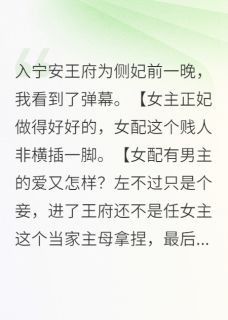 入宁安王府为侧妃前一晚知乎小说最新章节阅读-随缘阅读网