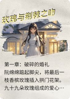 （好书推荐）以婚为局小说最新章节小说全文阅读