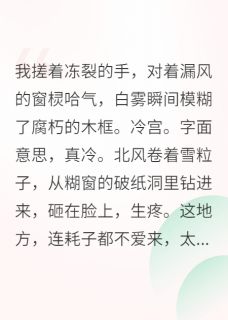 我在冷宫搞内卷，卷哭整个后宫沈秋棠苏晴免费阅读-我在冷宫搞内卷，卷哭整个后宫贝卡地亚小说-随缘阅读网