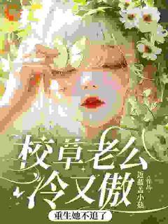 校草太难啃，重生后我不追了在线全文阅读-主人公许岁梨段靳珩小说