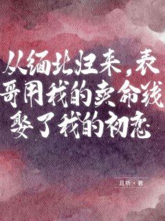 从缅北归来，表哥用我的卖命钱娶了我的初恋李浩陈江全本小说（从缅北归来，表哥用我的卖命钱娶了我的初恋）全章节小说目录阅读