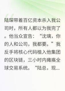 代码女王驯服资本巨鳄沈璃陆琛代码女王驯服资本巨鳄全文免费阅读【完整章节】-随缘阅读网