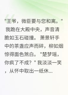 重生侧妃要和离，王爷悔断肠快手热推顾沉墨萧景轩梦瑶免费阅读