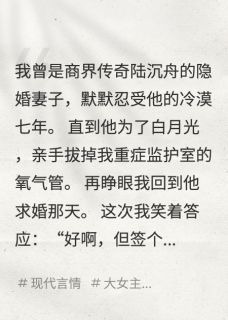 (抖音小说)陆沉舟顾衍小说全文阅读免费-随缘阅读网