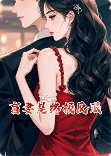 盲妻是终极反派(袁老头)最佳创作小说全文在线阅读