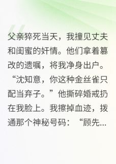 爆款小说由作者Timc所创作的离婚当天，我嫁给了顶级财阀在线阅读