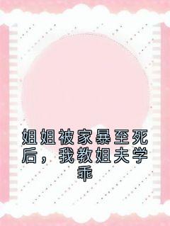 姐姐被家暴至死后，我教姐夫学乖最新章节免费阅读by佚名无广告小说