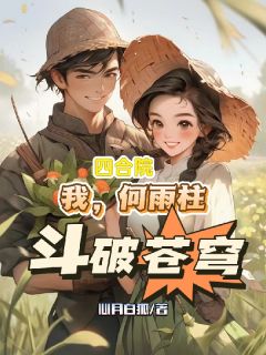 四合院：我，何雨柱，斗破苍穹知乎后续免费试读