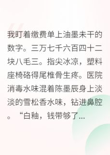 知乎小说重生后我不再当舔狗，男神回头了主角是灿灿陈墨辰白釉全文阅读