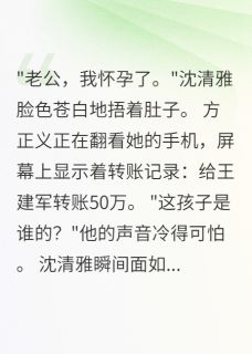 离婚当天，她说孩子是我的完整版-方正义沈清雅在线全文阅读