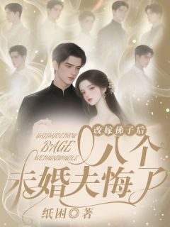 爆款小说改嫁佛子后，八个未婚夫悔了主角金灿灿沈夜全文在线完本阅读