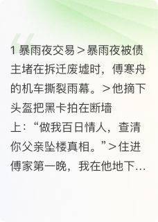 强烈推荐百日合约情人藏着我十八岁的糖阮梨傅寒舟在线阅读
