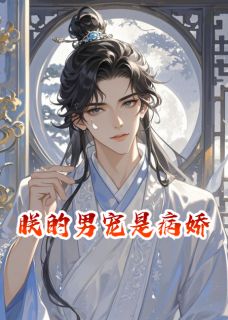 朕的男宠是病娇小说的书名是什么