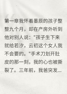 替白月光代孕的日子精彩章节-替白月光代孕的日子免费阅读全文