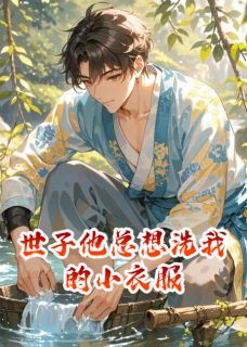 精品小说世子他总想洗我的小衣服全文目录畅读