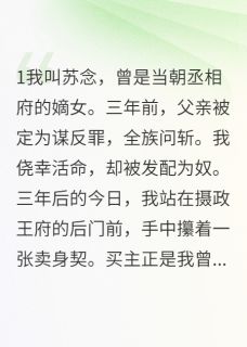 主人公萧炎江婉儿苏念在线免费试读沦落为奴：王爷的禁忌爱最新章节列表-随缘阅读网