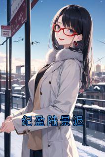 纪盈陆景迟陆景迟纪盈江亦欢-佚名小说