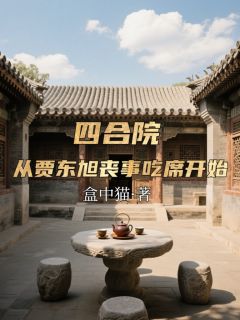 何雨柱易中海秦淮茹全本章节在线阅读大结局