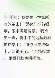 强烈推荐穿越后我成了钱庄老板娘萧景轩贺婉儿在线阅读
