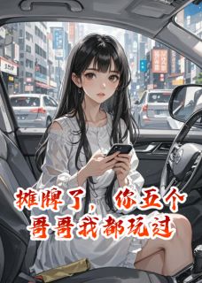 摊牌了，你五个哥哥我都玩过全文目录-秦燃陆宴舟小说无弹窗阅读-随缘阅读网