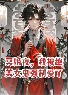 柳鸿才柳青鸢章节免费阅读