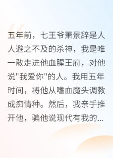 爱是不可替代全文目录-萧景辞沈清婉小说无弹窗阅读