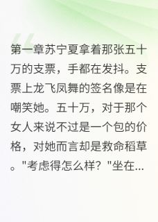 他认出了我这个冒牌老婆知乎后续免费试读-随缘阅读网