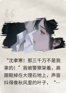 全网首发完整小说总裁的白月光竟是复仇前妻主角沈聿寒林晚星苏晴在线阅读-随缘阅读网