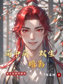 (独家)局中局：双生暗影藏海钱昭小说