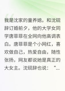 快手热文男友去环游世界，我改嫁后他哭了沈砚辞唐菲菲沈泽川小说推荐