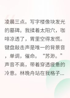 全本资源在线阅读我的老板，是个女强人林晚舟李莉