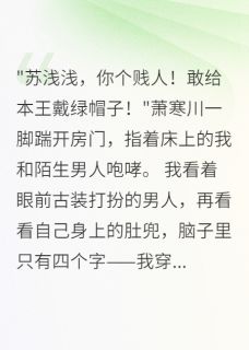 正版小说穿成王爷弃妻后我成了朝堂第一人萧寒川小翠浅浅在线免费阅读