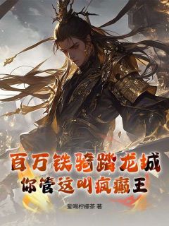 百万铁骑踏龙城，你管这叫疯癫王？免费阅读全文，主角陈起赵洛樱小说