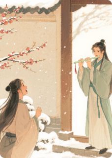 书荒必备林晚舟沈清寒小说