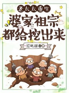 小说老太太重生，婆家祖宗都给挖出来主角为秦美棠林正华林大海免费阅读