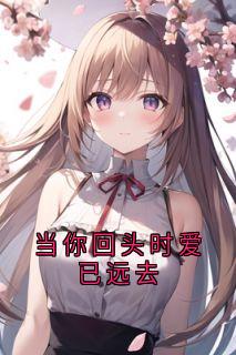 当你回头时爱已远去夏叙言槐序当你回头时爱已远去全文免费阅读【完整章节】-随缘阅读网