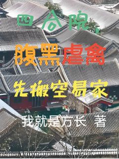 陈钱多易中海主角的小说完结版四合院，腹黑虐禽先搬空易家全集