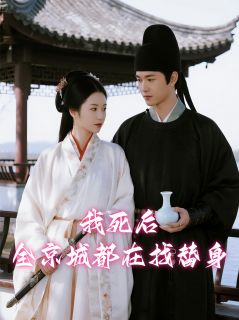 老书虫书荒推荐我死后，全京城都在找替身txt小说阅读