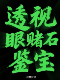 透视眼赌石鉴宝在哪免费看，苏明王彩儿小说章节目录阅读