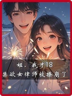 宋琳琳徐明浩主角小说姐，我才18，禁欲女律师被撩崩了抖音文免费阅读全文