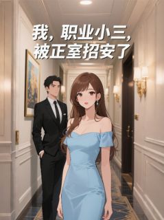 新上我，职业小三，被正室招安了靜丫头小说免费阅读