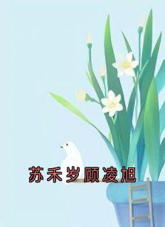 苏禾岁顾凌旭顾凌旭苏禾岁小说_苏禾岁顾凌旭完结版阅读