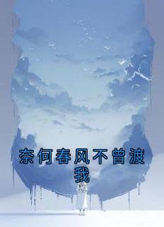 爆款小说奈何春风不曾渡我-主角童烟沈叙白在线阅读
