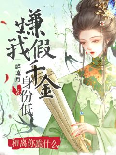 嫌我假千金身份低，和离你跪什么无广告阅读 楼心月沈华年若兮免费在线阅读