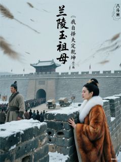 主角高欢娄昭君小说完整版-兰陵王祖母：我自择夫定乾坤免费阅读全文