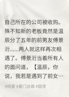 星辰闪闪，爱意璀璨未删减阅读