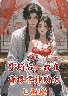 窥墨者的小说穿越后，我在青楼学神功走上巅峰主角是沈砚秋柳如烟